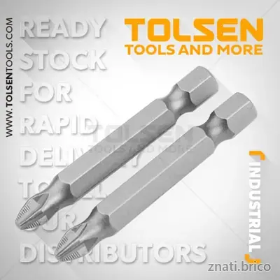 JEU D'EMBOUTS DE TOURNEVIS 2PCS (INDUSTRIEL)