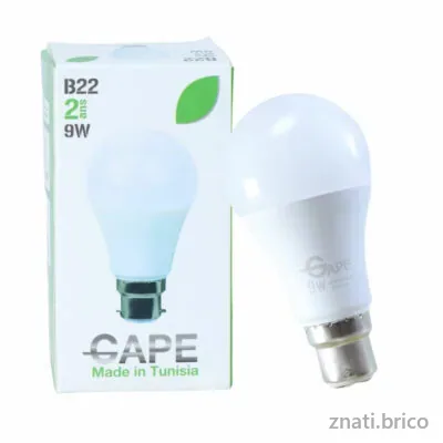 Ampoules Led B22 – 9W
