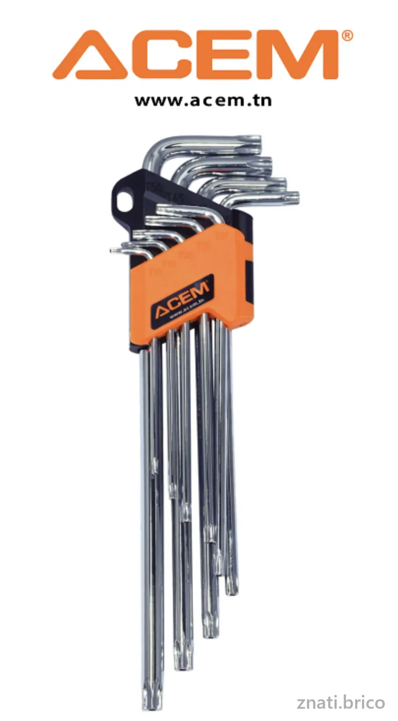 Jeux clés males torx inoviolable extra longue - 10 pièces - tête magnétique - Chromée - ACEM