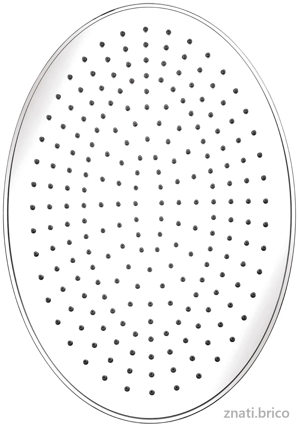 Douche de tête ovale