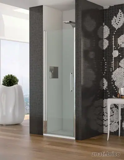ESPACE DOUCHE RIO niche 1 porte battante