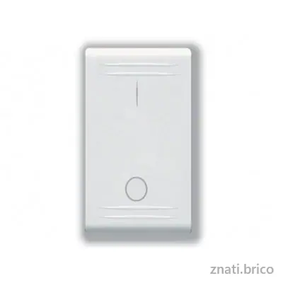 INTERRUPTEUR BIPOLAIRE (COUPE COURANT) 250V
