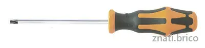 TOURNEVIS POUR VIS TORX