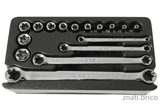 MODULE TORX