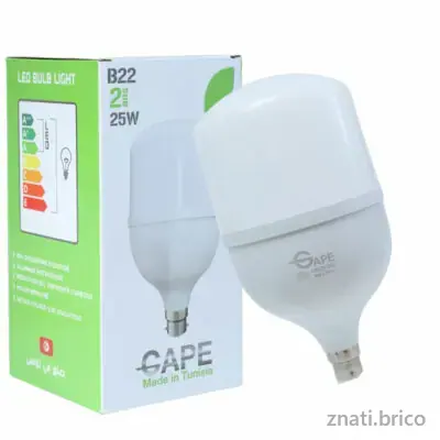 Ampoules Led B22 – 25W